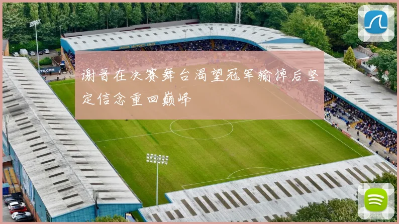 谢晋在决赛舞台渴望冠军输掉后坚定信念重回巅峰