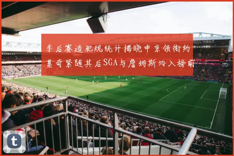 季后赛造犯规统计揭晓申京领衔约基奇紧随其后SGA与詹姆斯均入榜前十
